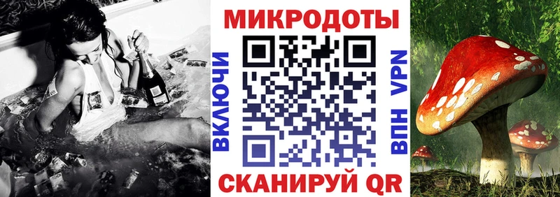 наркошоп  Североморск  Псилоцибиновые грибы GOLDEN TEACHER 